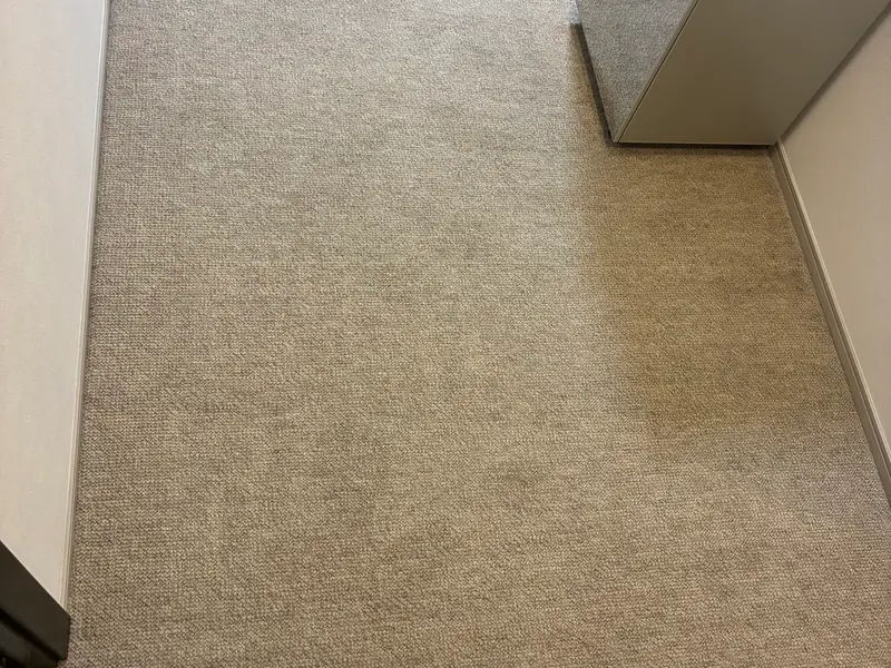 洗浄後。シミが取れて色が均一になっている