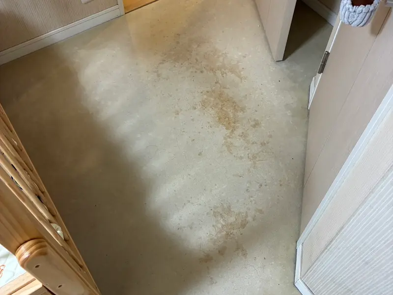 洗浄前。カーペットに茶色いシミが点在している