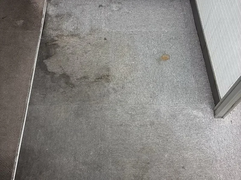 洗浄前。タイルカーペットの壁際に黒ずみと点状のシミが広がっている