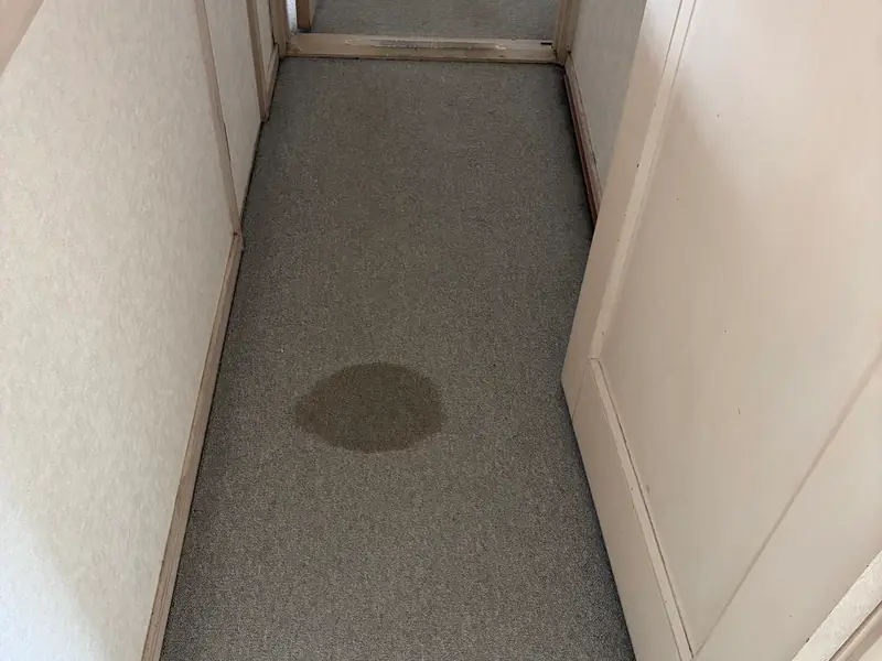 洗浄前。出入口通路のカーペットに黒いシミが広がっている